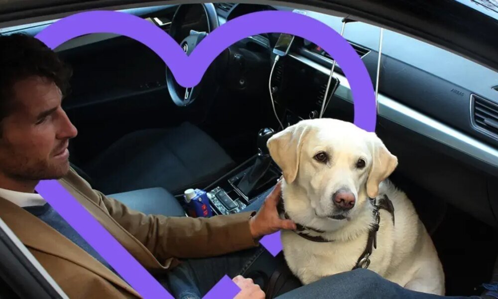 Así Podrán Movilizarse Perros y Gatos en la Capital