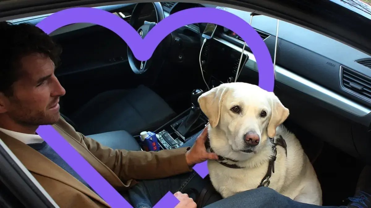 Así Podrán Movilizarse Perros y Gatos en la Capital