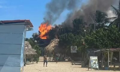 Dos Hoteles Y Ocho Cabañas Reducidos A Cenizas, Pérdidas Millonarias y Alcaldesa Casi LiChada