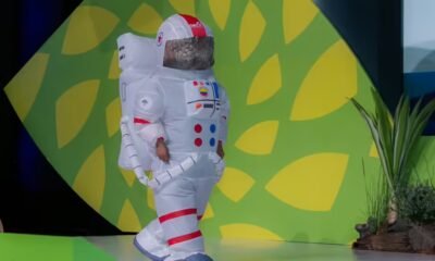 La Car Pondrá en El Espacio EN 2028 El Primer Satélite Ambiental de Colombia para Monitorear El Medioambiente