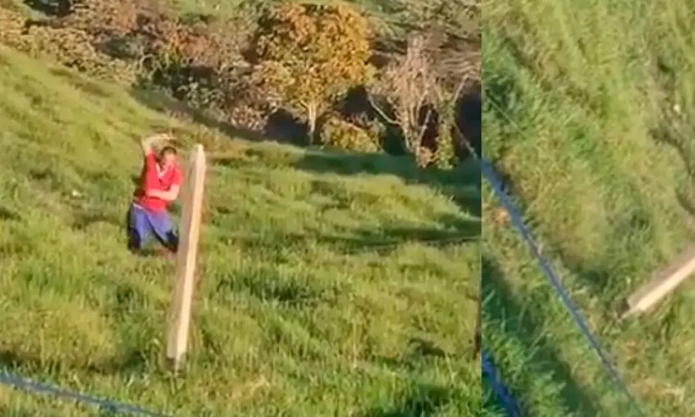 Indignación por brutal Golpiza de Un Padre A Su Hola Yarumal