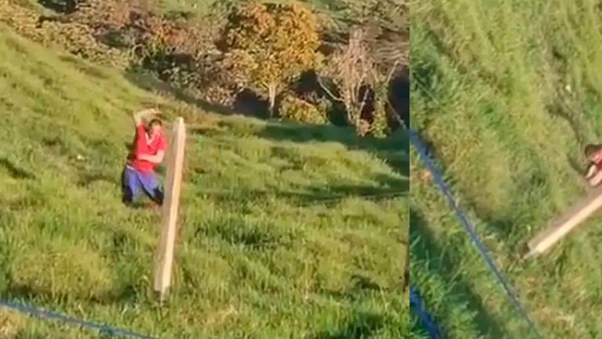 Indignación por brutal Golpiza de Un Padre A Su Hola Yarumal