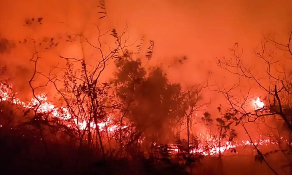 Reportan Voraz Incendio Forestal en Dolores, Tolima; Habitantes Piden Ayuda de los Bomberos para Sofocar Las Llamas: 'Hay Nacimientos de Agua'