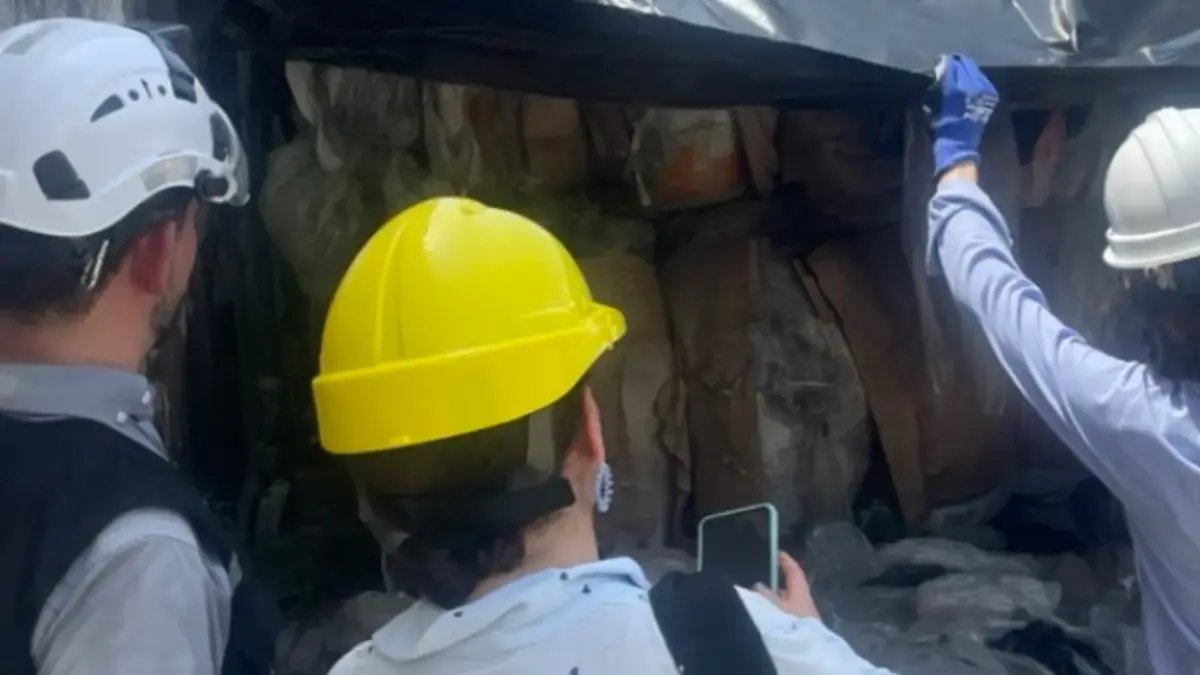 la entidad halló más de 17 toneladas