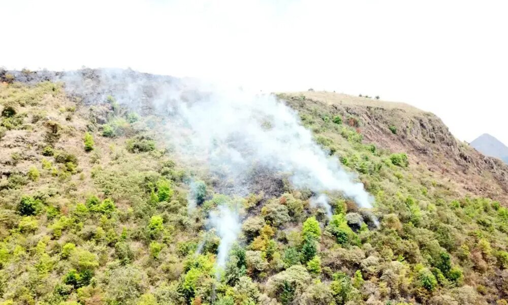 Bomberos Trabajan para controlar la emergencia