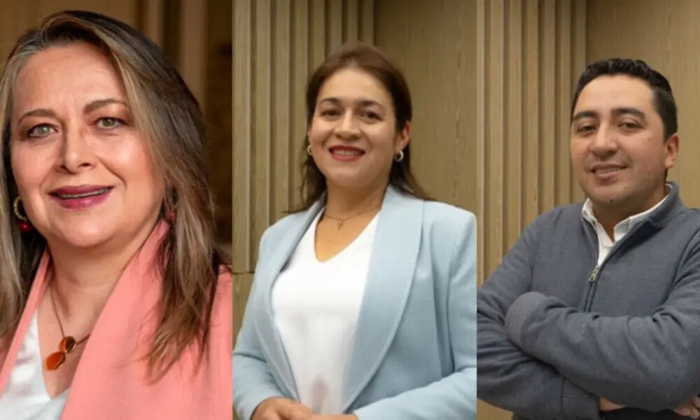 Este es el Patrimonio, Los Bienes y Los conflictos de interés de los jefes de las localidades de bogotá