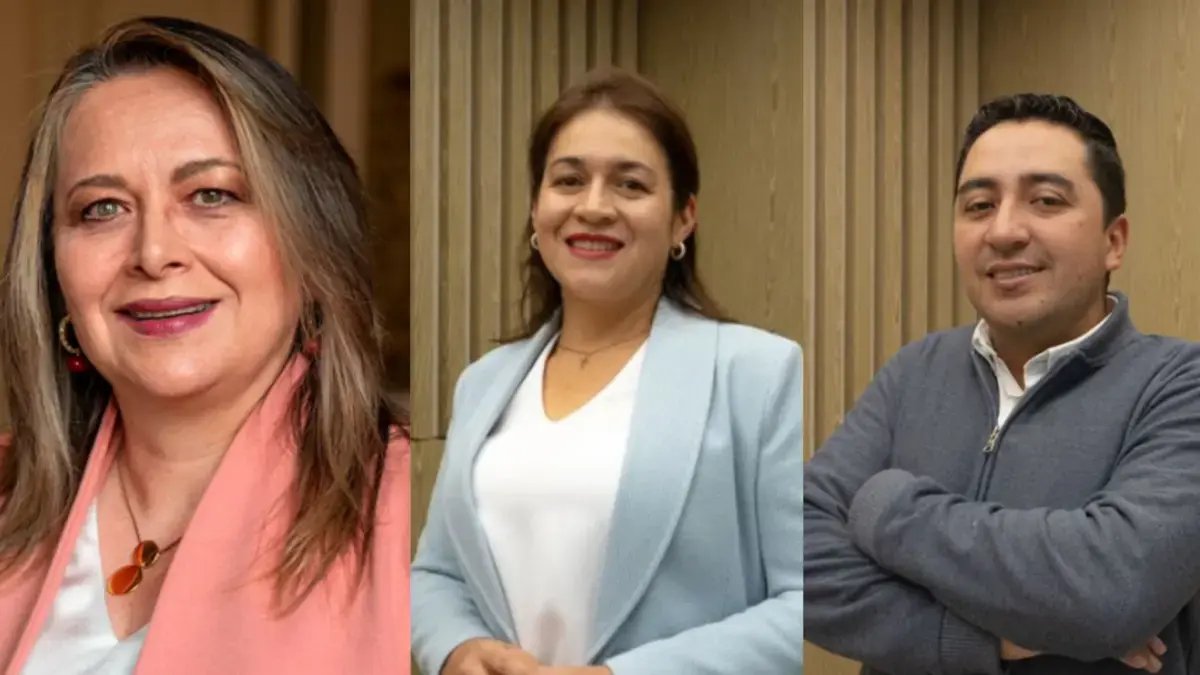 Este es el Patrimonio, Los Bienes y Los conflictos de interés de los jefes de las localidades de bogotá