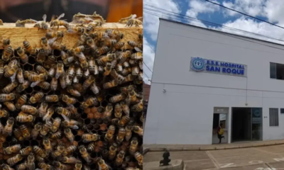 Recibieron Más de 200 Picaduras en TODO Su Cuerpo