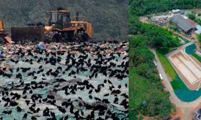 El Relleno Sanitario de Antioquia que se convvertirá en Parque Tecnológico Ambiental