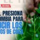Estados Unidos Pide A Colombia reducir cultivos de coca y extradiciones