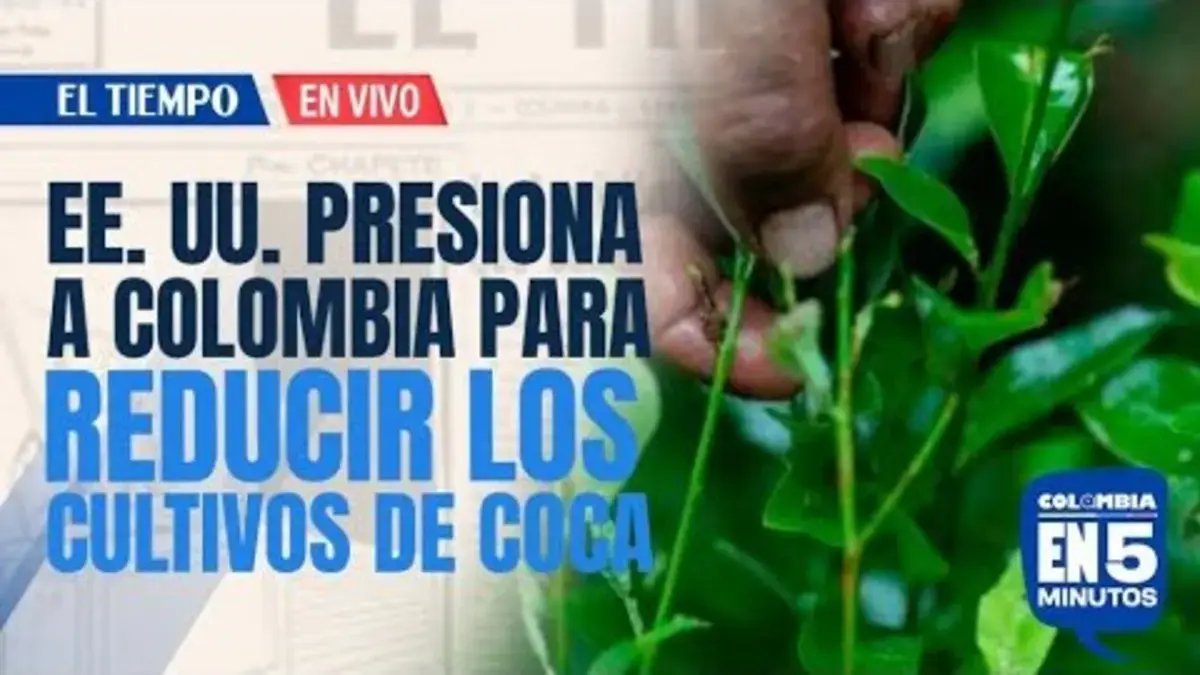 Estados Unidos Pide A Colombia reducir cultivos de coca y extradiciones