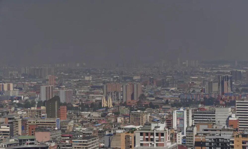 En Bogotá Hacen Falta 1,2 Millones de Árboles Para Cumplir Con Las Normas Ambientales, Investigación de Señala