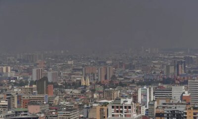 En Bogotá Hacen Falta 1,2 Millones de Árboles Para Cumplir Con Las Normas Ambientales, Investigación de Señala