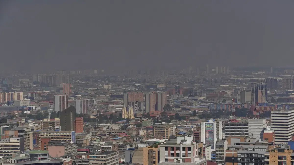 En Bogotá Hacen Falta 1,2 Millones de Árboles Para Cumplir Con Las Normas Ambientales, Investigación de Señala