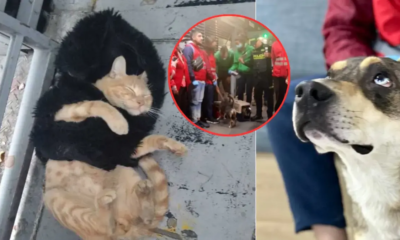 Eran Explotados por Hombre que Fingía Discapacidad