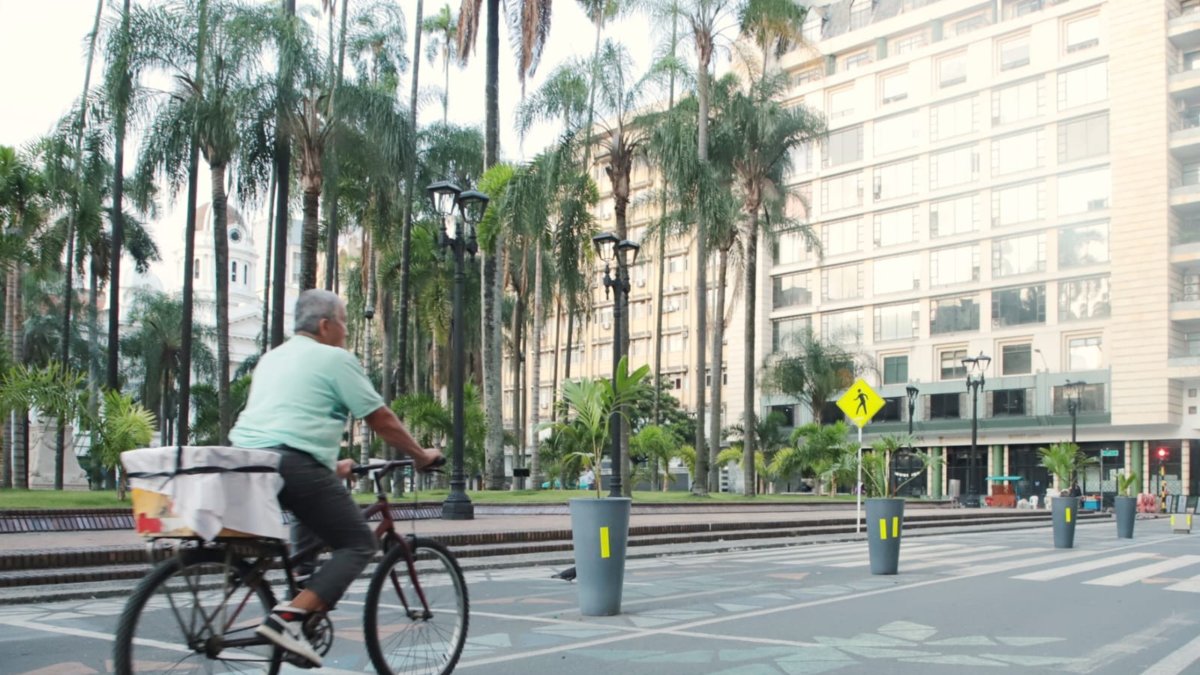 Día Sin Carro y Sin Moto en Cali