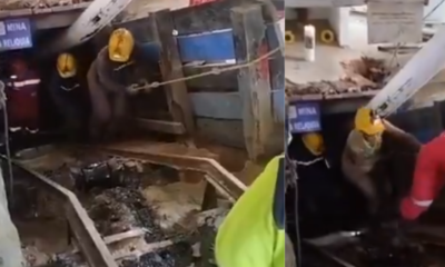 Estas Son Las Primeras Imágenes