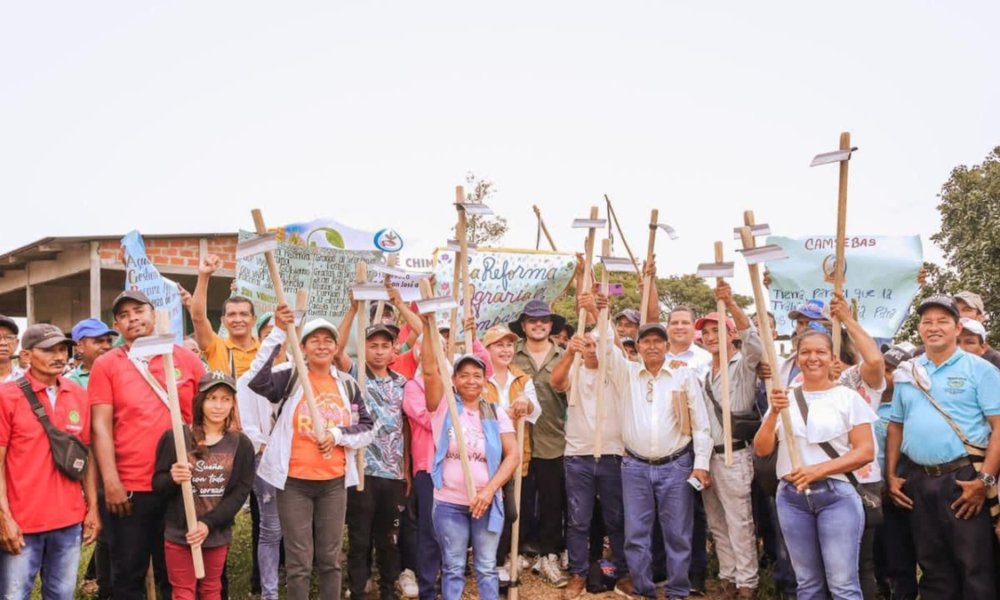 La Corte admite constitucional Demanda Elevada por la Ant Contra la 'Fragmentación' de la Reforma Agraria