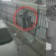 Un intento de Robo de Un Carro en la localidad de Barrios Unidos, Bogotá, Generó Pánico Entre Los Vecinos