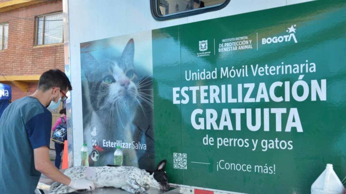 Conozca los Puntos de Atención