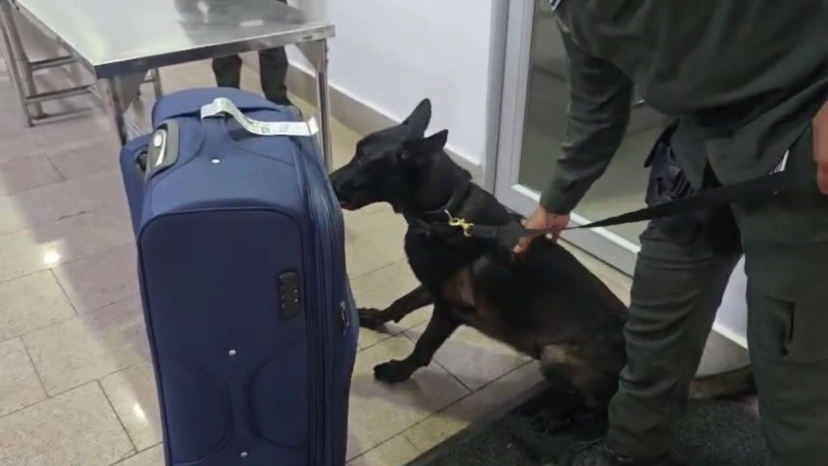 Cae 'mula' en aeropuerto de cartagena con seis kilos de cocaína escondidos en una maleta con rumbo a europa