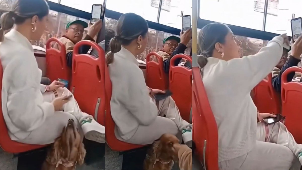 Transmilenio desmintió video que circula en redes sociales de una usuaria sido atacada por viajar con su mascota en un autobús de transporte público