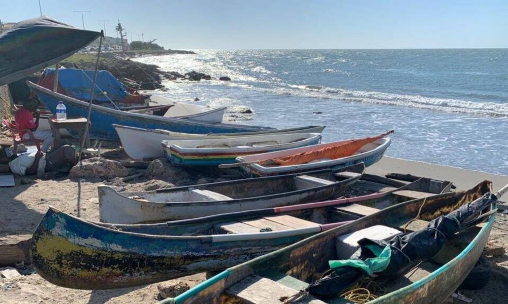 SEMBRARÁN DOS MILLONES DE ALEVINOS PARA IMPULSAR LA PESCA Y COMO RESPUESTA A LA CRISIS QUE VIVEN LOS PESCADORES POR LA CONTAMINACIÓN