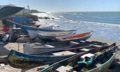 SEMBRARÁN DOS MILLONES DE ALEVINOS PARA IMPULSAR LA PESCA Y COMO RESPUESTA A LA CRISIS QUE VIVEN LOS PESCADORES POR LA CONTAMINACIÓN