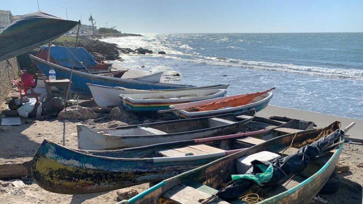 SEMBRARÁN DOS MILLONES DE ALEVINOS PARA IMPULSAR LA PESCA Y COMO RESPUESTA A LA CRISIS QUE VIVEN LOS PESCADORES POR LA CONTAMINACIÓN