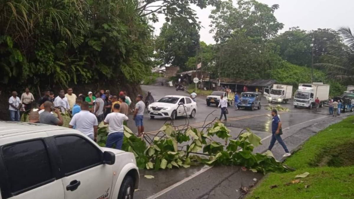 ¿Cómo entender el fenómeno de bloqueos en la vía a Buenaventura y en la Panamericana? Experto analizó panorama crítico para el suroccidente del país