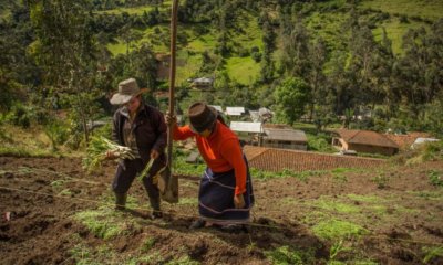 este es el panorama sobre brechas económicas y culturales en la región y en el país
