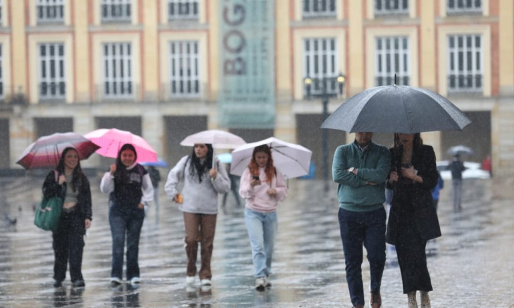 sectores más afectados por las precipitaciones