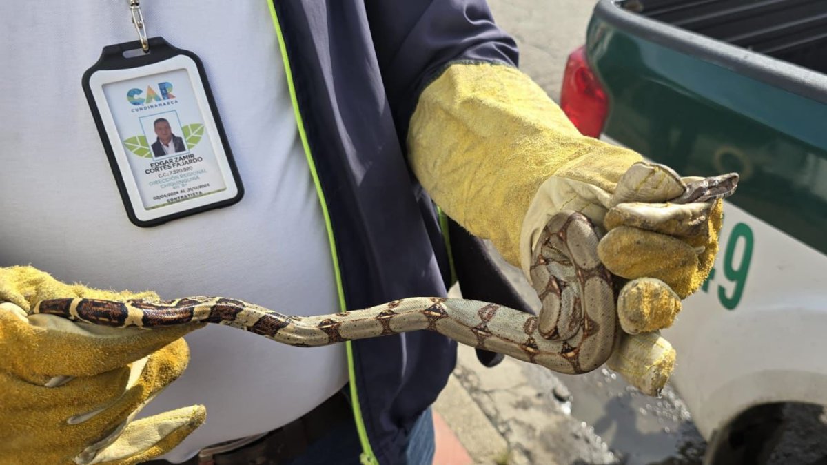 Autoridadas Refuerzan Controla contra El Tráfico de Fauna Silvestre