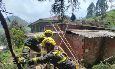 Piden Cuidado especial Con Menores