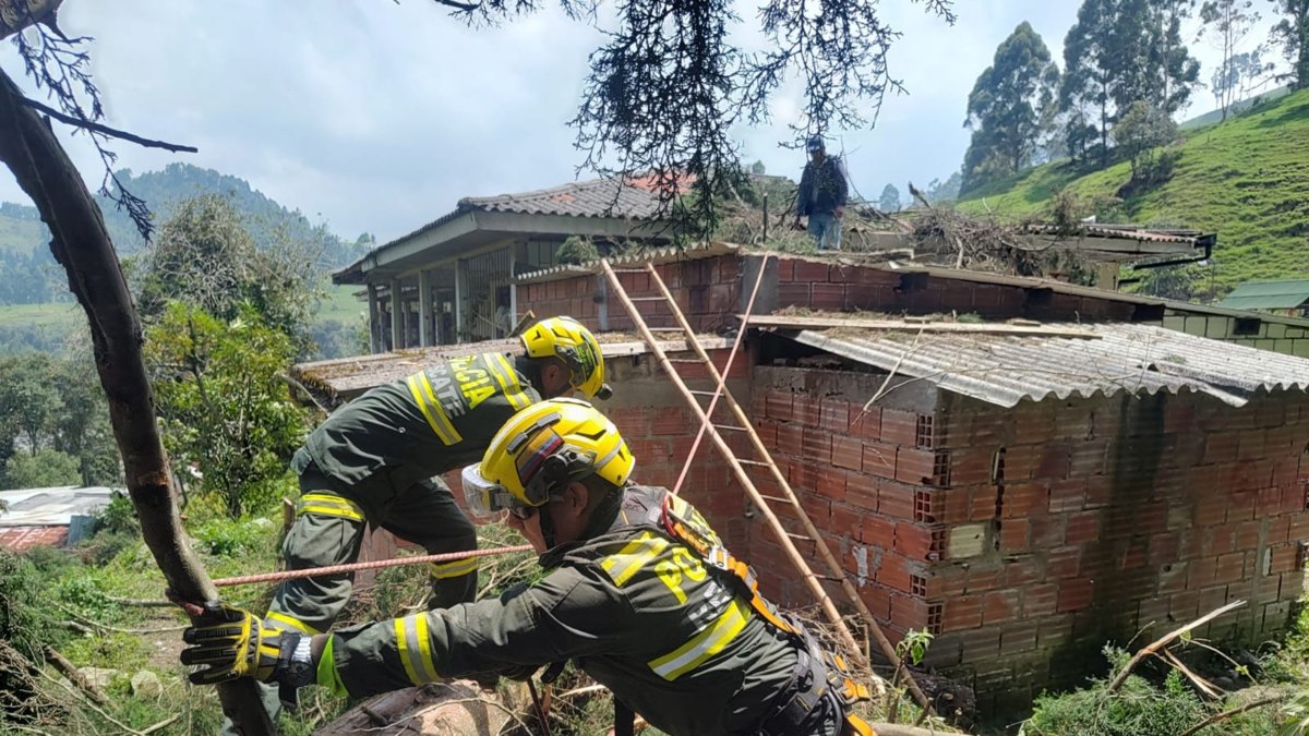 Piden Cuidado especial Con Menores