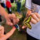 Con la presente de un Llamativa Mariposario se Abrieron las putas de la ciadela Educativa de la Biodiversidad en el Norte de Cali