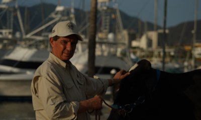 Santa Marta Acoge El Primer Remate Ganadero Frente Al Mar, Un Homenaje A Los 500 Años de Historia de la Ciudad y de la Ganadería Colombiana