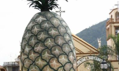 Lebrija, Capital Piñera de Colombia, Revelará El Secreto para Convertir Su fruta Insignia en Papel en Su Feria Nacional