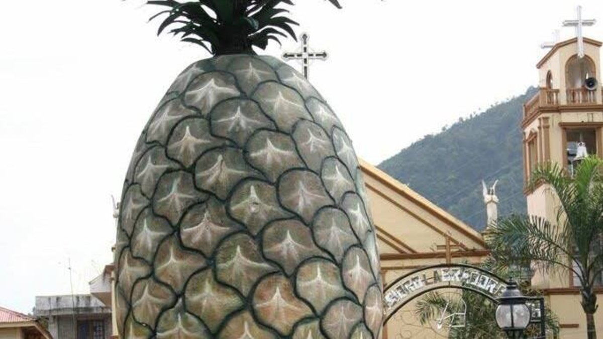 Lebrija, Capital Piñera de Colombia, Revelará El Secreto para Convertir Su fruta Insignia en Papel en Su Feria Nacional