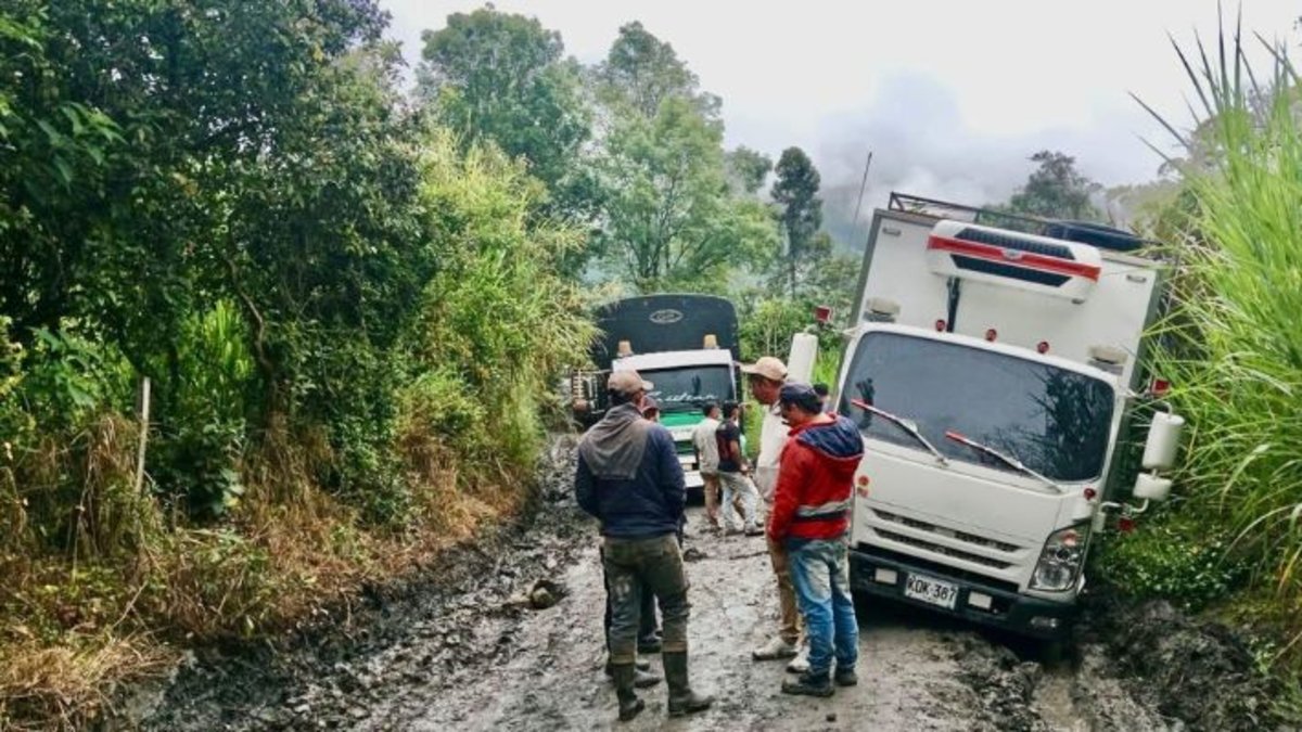 Agricultores de la Vía al Llano Pueden Acceder a la Flota de Camiones de la Gobernacia de Cundinamarca Para Transportar Sus Cosechas