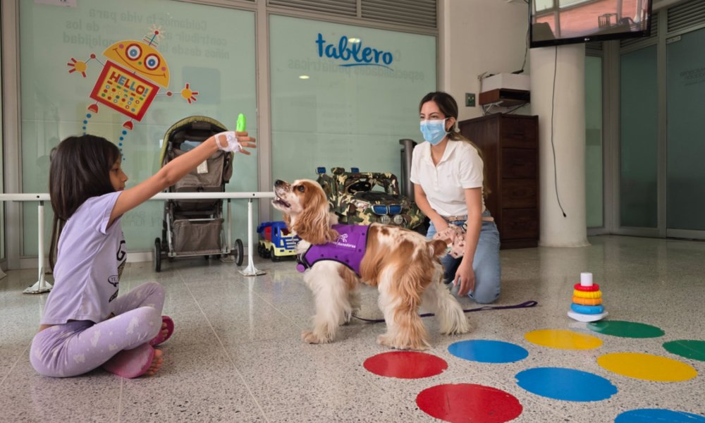 Medellín Tiene El Primer Programa de Rehabilitacia con perros para Pacientes Quemados