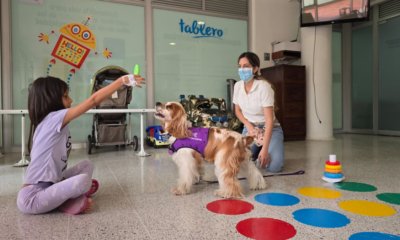 Medellín Tiene El Primer Programa de Rehabilitacia con perros para Pacientes Quemados
