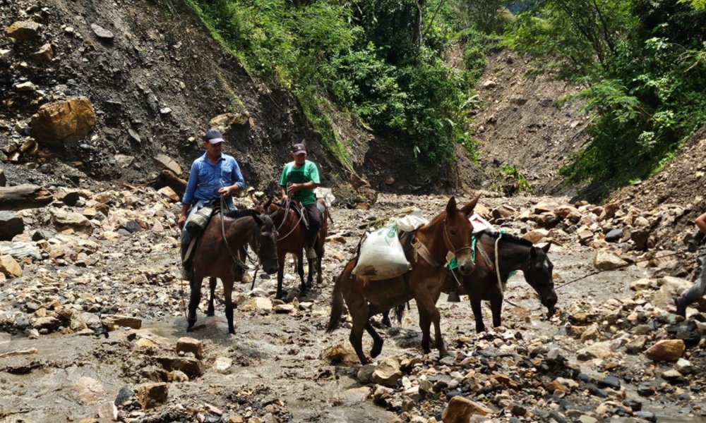 creciente arrastró a una mujer cuando iba por su esposo e hijos en una yegua; ya hallaron su ropa y al animal muerto