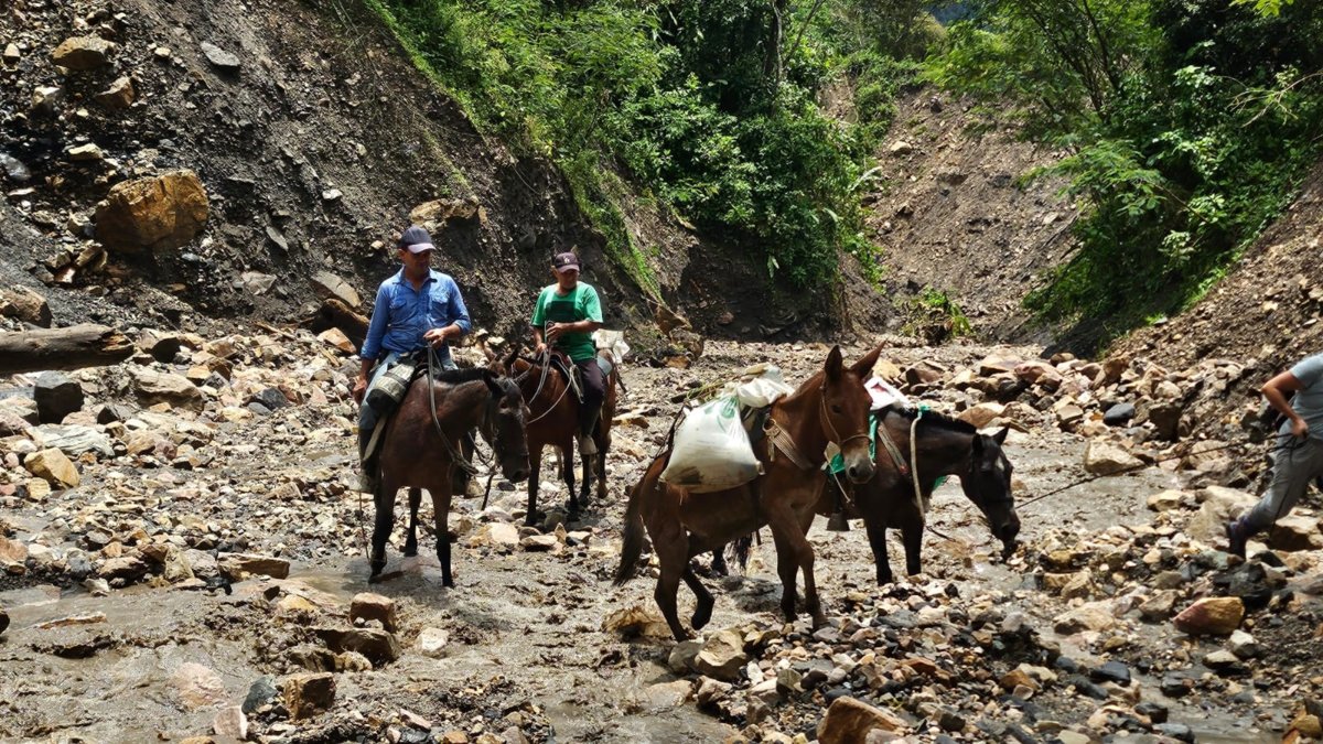 creciente arrastró a una mujer cuando iba por su esposo e hijos en una yegua; ya hallaron su ropa y al animal muerto