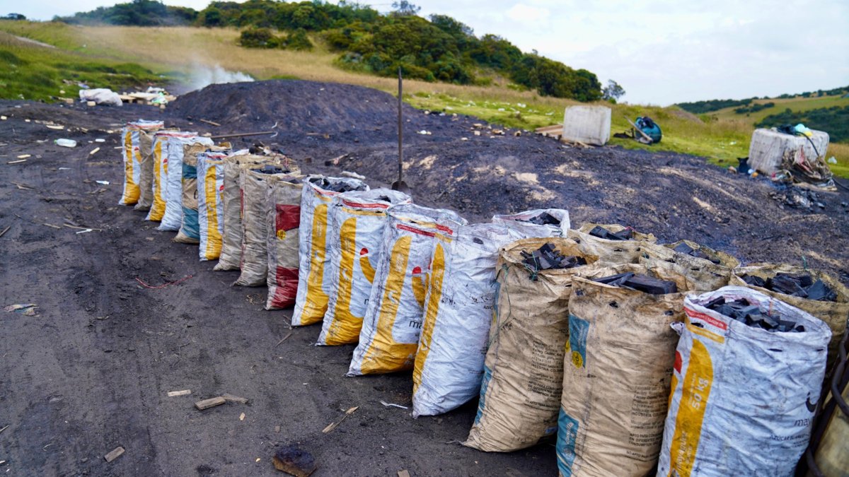 Autoridades frenan la producción ilegal de carbón vegetal en la zona rural de Ciudad Bolívar.