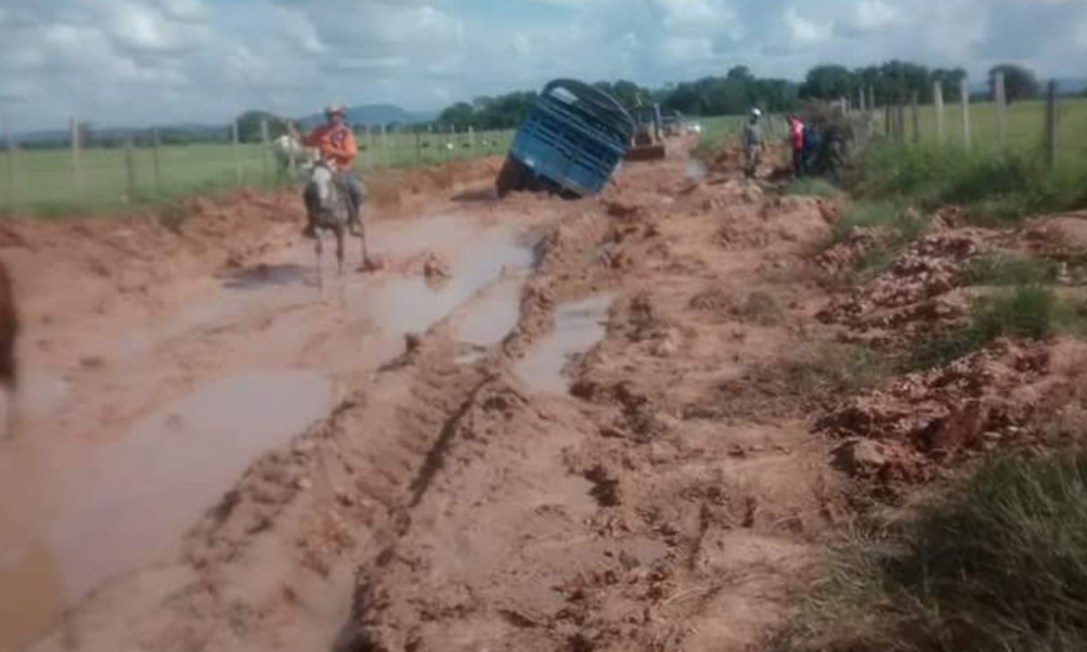 Ovejas, Chalán y Los Palmitos, Entre los Municipios Más Afectados