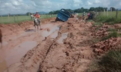 Ovejas, Chalán y Los Palmitos, Entre los Municipios Más Afectados