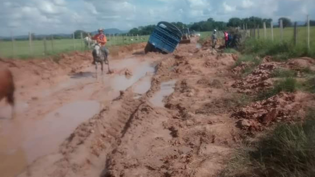 Ovejas, Chalán y Los Palmitos, Entre los Municipios Más Afectados