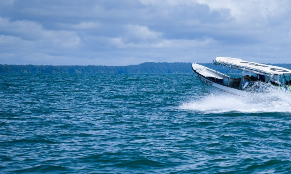 Habrían sido retenidos por un grupo armado no estatal en La Plata.
