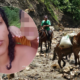 Ella es Carmen Díaz, mujer que fue arrastrada por quebrada en Páez (Boyacá) al cruzar a caballo para recoger a su esposo e hijos: así va la búsqueda